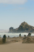 Imagen de Costas Salvajes - 2