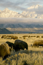 Imagen de Parques Nacionales de América - 2