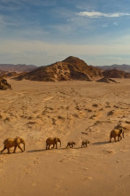 Imagen de El Kalahari, la...: Ep.2 - 2