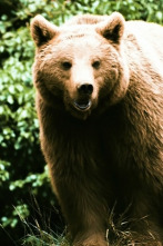 Imagen de Pociones de amor salvaje - 2