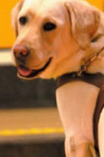 Imagen de Instinto animal - 2