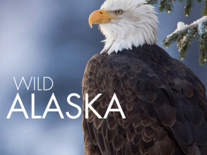 Imagen de Alaska salvaje: Invierno - 1