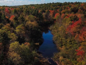 Imagen de Maine. América al natural - 1