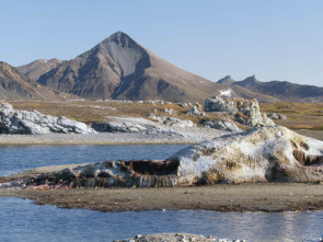 Imagen de Paraísos salvajes: Sur de Asia - 1