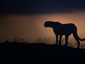 Imagen de El Kalahari, la...: Ep.1 - 1