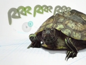 Imagen de Animalia - 1