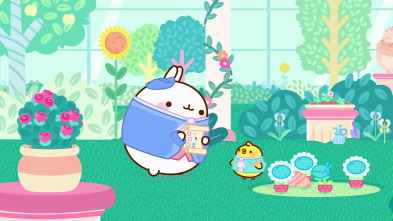 Molang (T5): Los trovadores