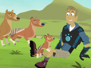 Los hermanos Kratt (T5): Ponis salvajes