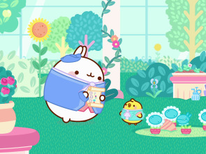 Molang (T5): El caballo