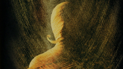 Imagen de La sombra del faraón - 3