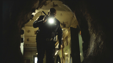 Imagen de Mimic - 3
