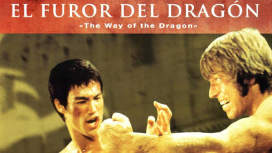 Imagen de El furor del dragón - 3
