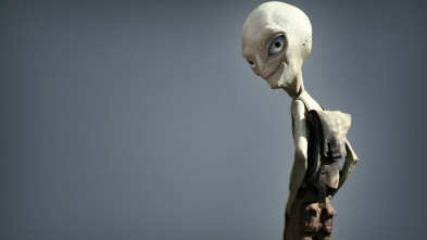 Imagen de Paul - 3