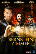 Imagen de El código de Carlomagno III: La cámara de ámbar - 2