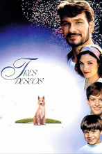 Imagen de Tres deseos - 2