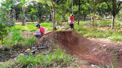 Imagen de Lo más ridículo... (T2): Pingüinos y otras especies - 5