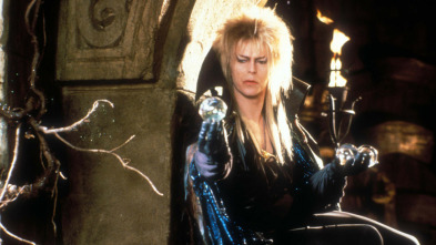 Imagen de Dentro del laberinto - 3