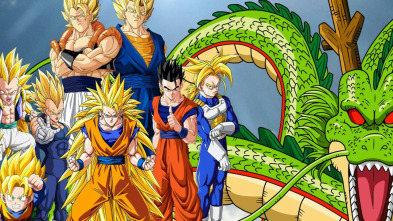 Imagen de Dragon Ball Z Kai (T2): Ep.5 ¡Llega el Torneo de Artes Marciales! Goten muestra su explosivo poder en el entrenamiento - 3