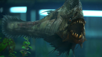 Imagen de Piraña 3D - 7