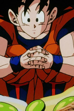 Dragon Ball Z (T5): Ep.12 ¡Ahora me toca a mí! El primer combate lleno de nervios de Goten