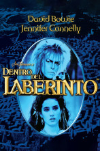 Imagen de Dentro del laberinto - 2