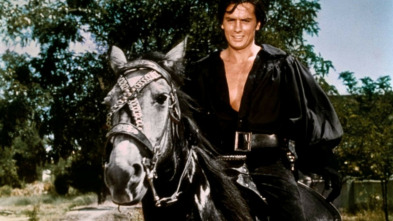 Imagen de El tulipán negro - 3