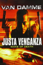 Imagen de Justa venganza - 2