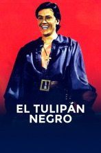 Imagen de El tulipán negro - 2