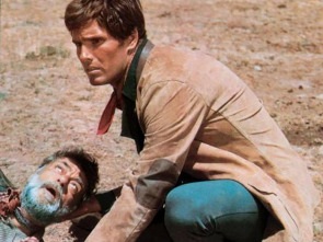 Imagen de El hombre del sur - 1