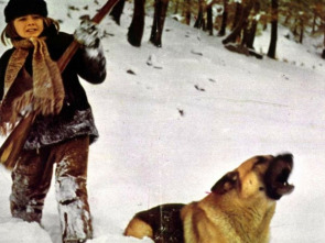 Imagen de La Llamada del lobo - 1