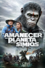 Imagen de El amanecer del planeta de los simios - 2