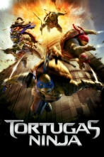 Imagen de Ninja Turtles - 2