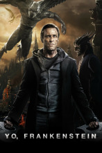 Imagen de Yo, Frankenstein - 9