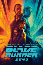 Imagen de Blade Runner 2049 - 14