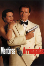Imagen de Mentiras arriesgadas - 11