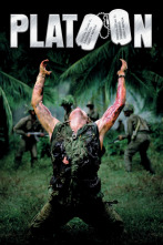 Imagen de Platoon - 2