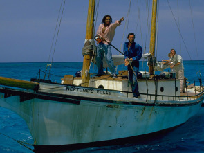 Imagen de Tiburón, la venganza - 5