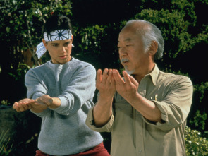 Imagen de Karate Kid III: el desafío final - 3
