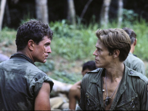Imagen de Platoon - 1