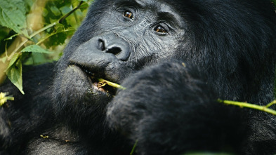 Imagen de Cazadores de... (T1): Mario Vaquerizo - 3
