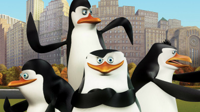 Imagen de Los pingüinos de... (T2): Instinto infalible; El pájaro enjaulado se vuelve pirado - 5