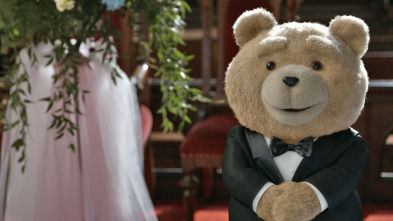 Imagen de Ted 2 - 5