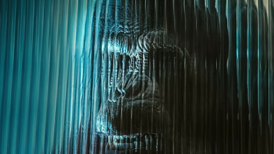 Imagen de Primate - 5