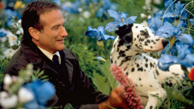 Imagen de Más allá de los sueños - 5