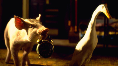 Imagen de Babe: el cerdito valiente - 5