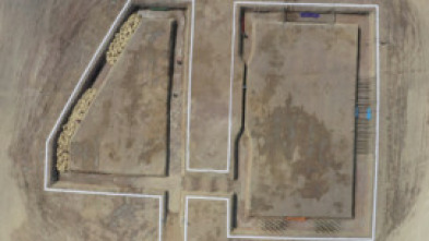Imagen de The Challenge:... (T40): La era de la purga - 7