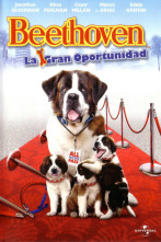 Imagen de Beethoven: la gran oportunidad - 4