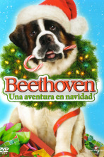 Imagen de La aventura navideña de Beethoven - 4
