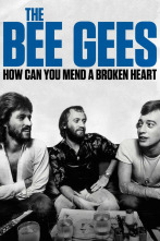 Imagen de The Bee Gees: How Can You Mend a Broken Heart - 4