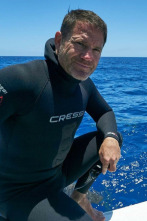 Imagen de Shark with Steve...: Tiburones del Océano Índico - 4